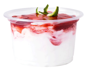 POJEMNIKI do lodów okrągłe 250ml pojemnik 100 szt TUS250