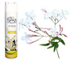 Odświeżacz powietrza SPRAY ekoFRESH JASMINE 300ml