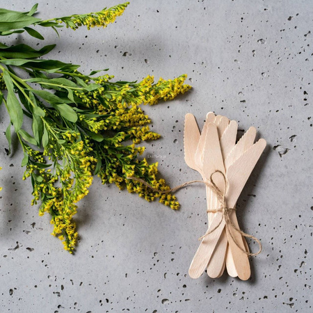 NOŻE DREWNIANE JEDNORAZOWE 16,5CM a100szt