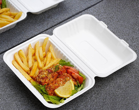 POJEMNIK OBIADOWY ECO Z TRZCINY CUKROWEJ PÓŁOBIAD 250x158x80 mm 9x6" a50szt