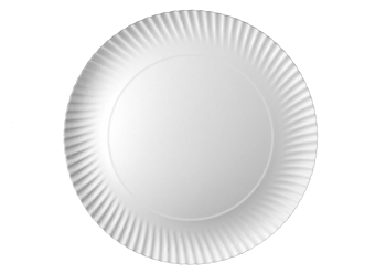 TALERZYKI  PAPIEROWE JEDNORAZOWE  26 cm 100szt