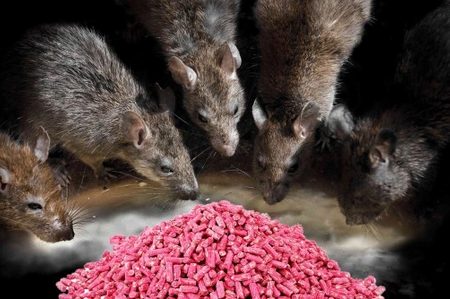 BROS Granulat na myszy i szczury TRUTKA 1 kg