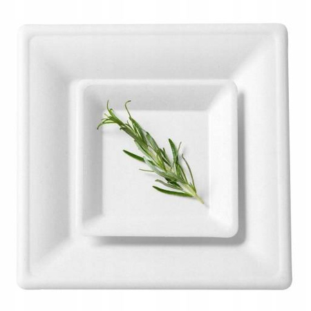 TALERZ ECO Z TRZCINY CUKROWEJ KWADRAT 20cm 50szt