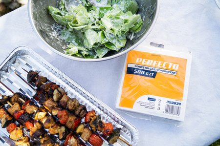 Serwetki gastronomiczne BIAŁE 500szt 15x15cm