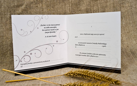 ZAPROSZENIA ŚLUBNE Z KOPERTAMI WZÓR MŁODA PARA 10SZT