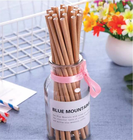 Słomka papierowa prosta KRAFT 8/19.7 a100szt