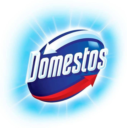 Domestos WC koszyk PINE 40g 3 sztuki