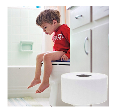 PAPIER TOALETOWY CELULOZOWY DWUWARSTWOWY JUMBO 100M 1szt