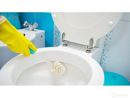 TENZI WC ŻEL KAMIEŃ I RDZA 0,75L