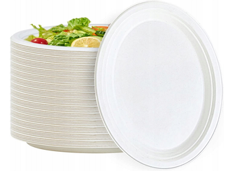 TALERZ ECO Z TRZCINY CUKROWEJ 32X26cm 50szt