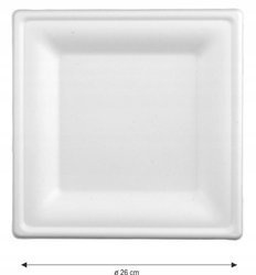 TALERZ ECO Z TRZCINY CUKROWEJ KWADRAT 26cm 50szt