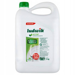 LUDWIK PŁYN DO NACZYŃ MIĘTOWY 5L ZIELONY